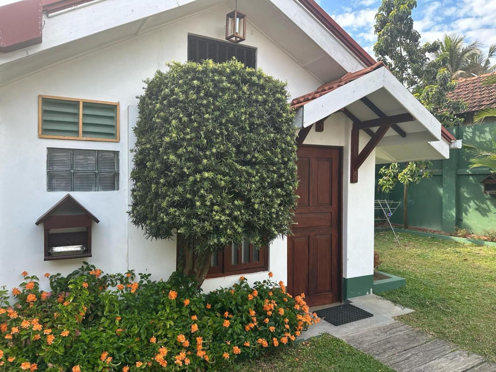 Hamilton House Otel Negombo Dış mekan fotoğraf